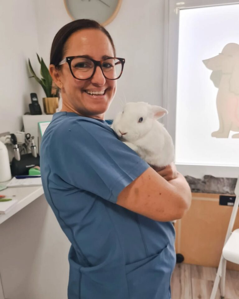 Clínica veterinaria en Escaleritas