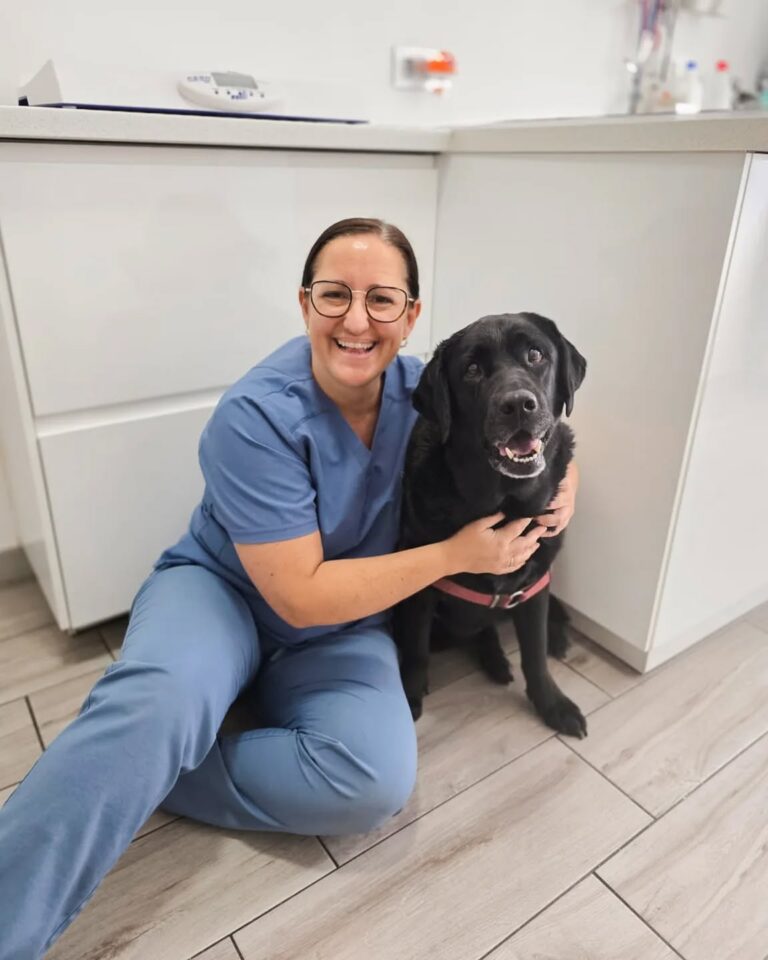 Veterinaria sosteniendo a un perro negro