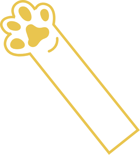 patita gato