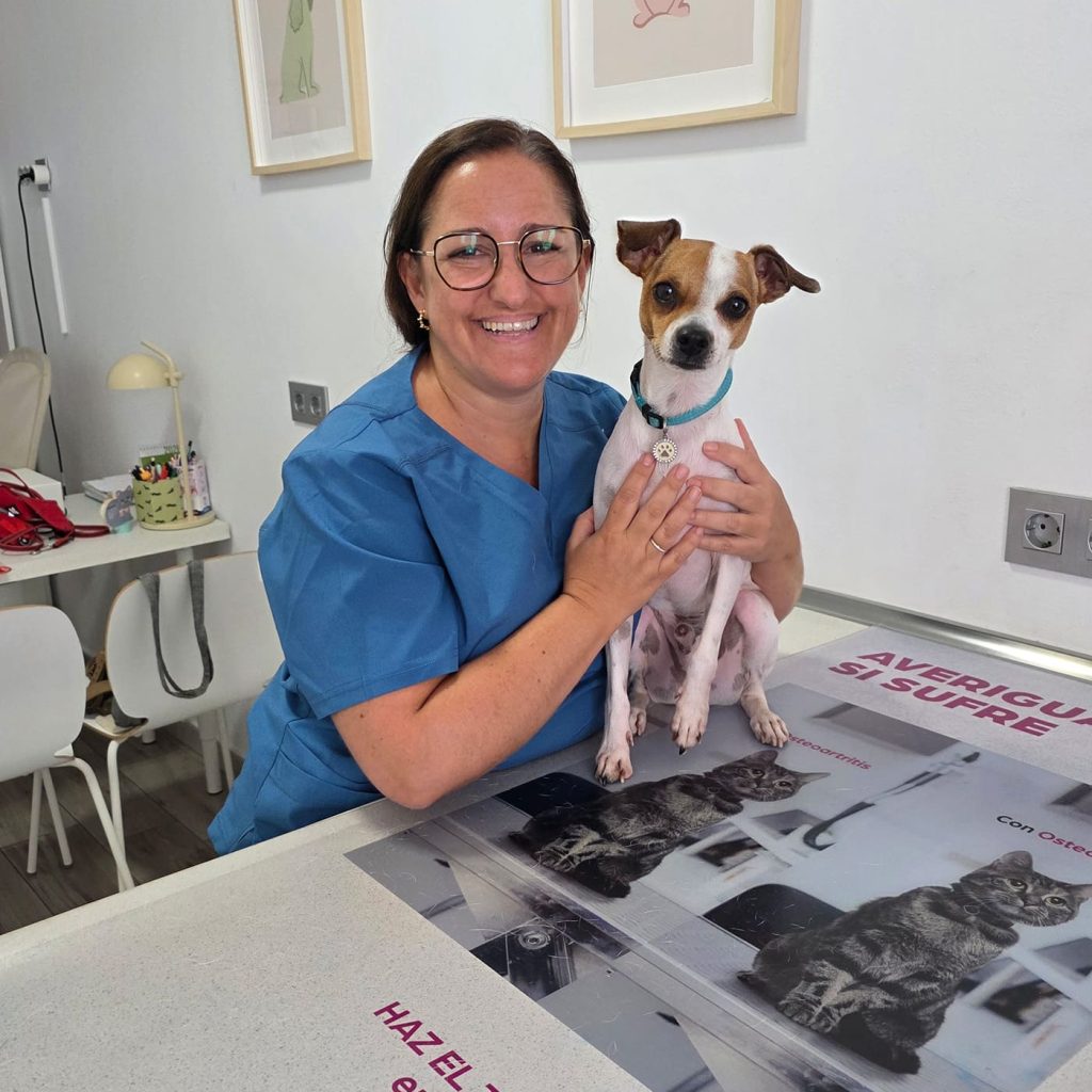 Equipo veterinario de DermaBaena con un perro